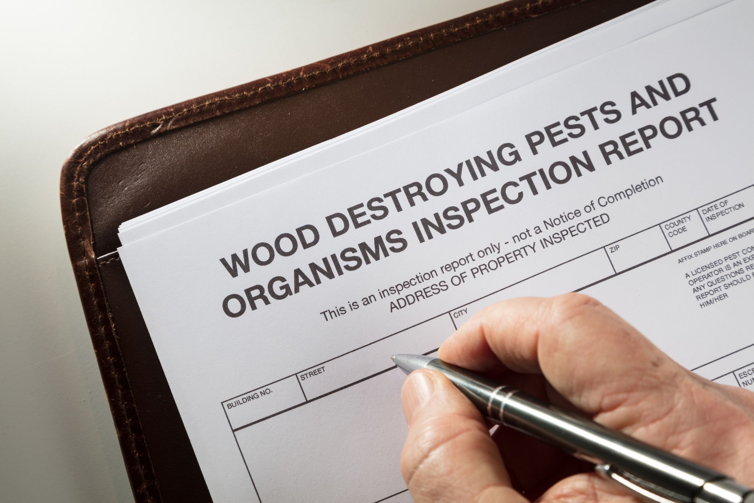 Hand holding silver pen filling out Wood Destroying Pests and Organisms Inspection Report form on brown leather clipboard.