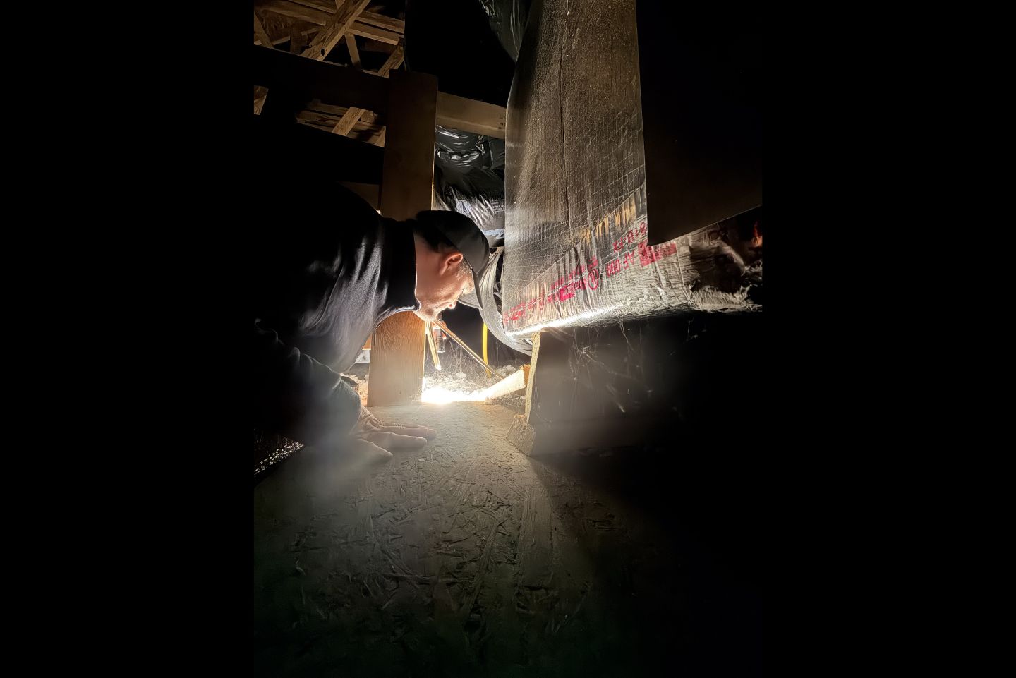 full-home-pest-inspection-roaches-spider-wasps-charlotte-north-carolina Black Cornerstone Home Defense truck with lime green branding and phone number 704-499-9373 parked in lot at night near brick building